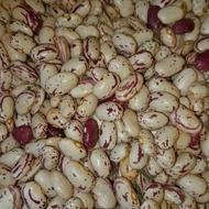 لوبیا چیتی امساله