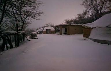 اقمتگاهی متفاوت در دل جنگل