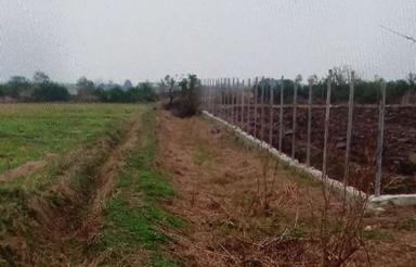 فروش فوری مزرعه