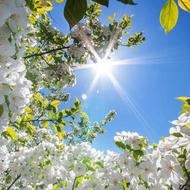 سفر کیش مشه قشم دبی