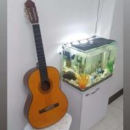 گیتار یاماها اصلی مدل c40