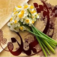 هرس درختان وکاشت گل گیاه فصلی وآپارتمانی