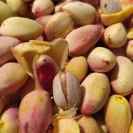 باغ پسته و زمین مرغداری