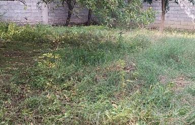 فروش قطعه زمین