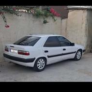 زانتیا خانگی