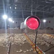 جشنواره فروش زمستانه انواع جت هیتر