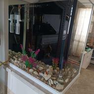 آکواریوم شیشه خم خارجی سالم سالم