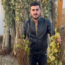 فروش نهال پسته پیدندی انواع گردو صنوبر نیگرا بادام خوشه ای