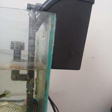 تصفیه اب اکواریم