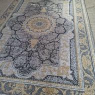 فرش ماشینی فرشینه 6متری 4متری نوشهر