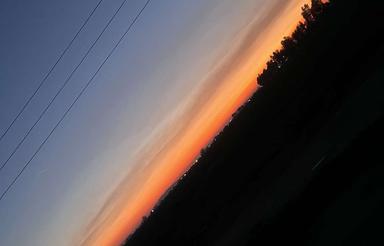 زمین باغی سند دار زیر قیمت