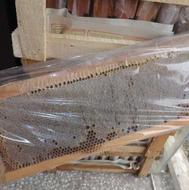 سوغات محلی عسل محلی پنیر گوسفندی کشک گوسفندی کره رب نارنج