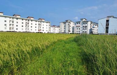 زمین 7000متری در چالوس