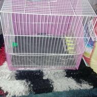 قفس پرنده طوطی