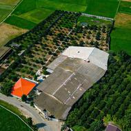 بازاریاب برنج(شرکت میرشاد سبز مرزون شمال)