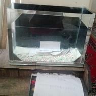 اکواریوم ماهی