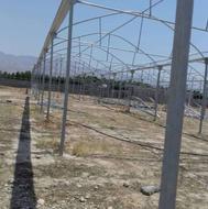 فروش و نصابی انواع گلخانه باقیمت عالی