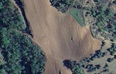 زمین زراعی باغی