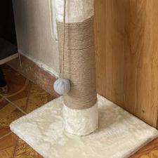 اسکرچر گربه