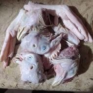 غذای سگ(کله مرغ و غیره)