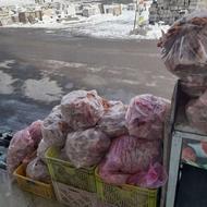 غذای سگ و گربه اسکلت مرغ