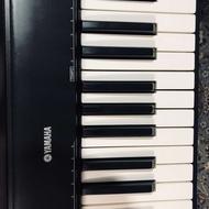 پیانو دیجیتال np30