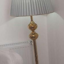 اباژور ایستاده سالم