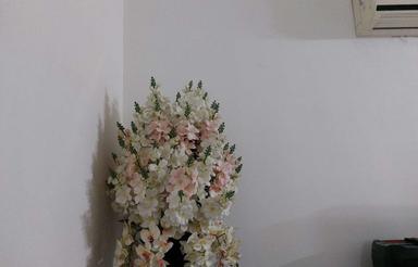 اجاره آپارتمان 70 متر در شاه محله