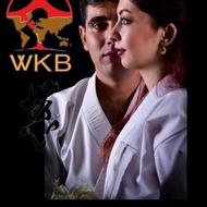 زوج ورزشی کیوکوشین شنا MMA یوگا TRX ایروبیک کاراته