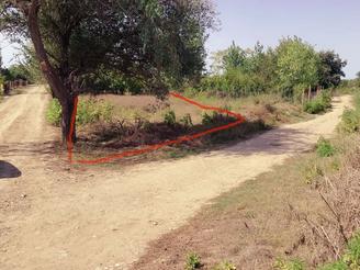 زمین باغچهای در شهرک امام حسین قیمت مناسب 80متر