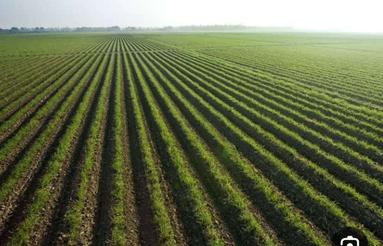 اجاره زمین کشاورزی در روانسر( کرمانشاه )