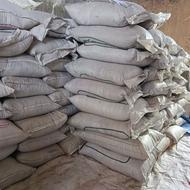 گندم دامی و بذری