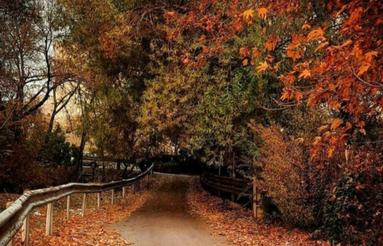 سی صد متر زمین باغ انار مبارک آباد قم آب لوله کشی