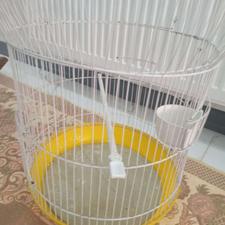 قفس نو سالم