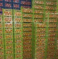 سورتینگ و تولیدی سبد میوه تلفن