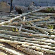 خرید وبرش چوب