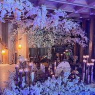 خانه عقد و تشریفات ستایش