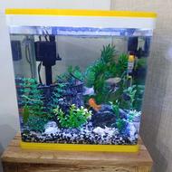 آکواریوم با تمام وسایل