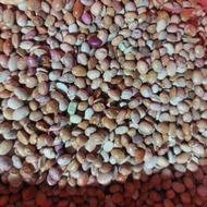 لوبیا چیتی آشی