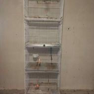 قفس 4 خوان با رنک کوره ای با کلیه لوازم