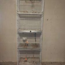 قفس 4 خوان با رنک‌ کوره ای با کلیه لوازم