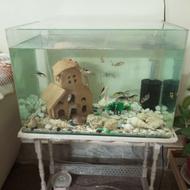 آکواریوم شیشه خم شرکتی