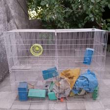 قفس بزرگ و قفس سحره