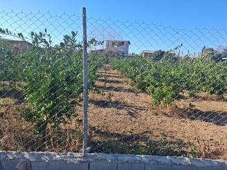 زمین 400 متر خونه سرا روستای آخورسر