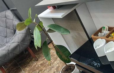 تجاری و مغازه 25 متر در شمس آباد