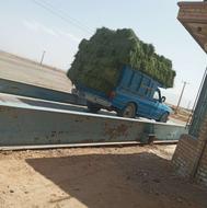 بیده انباری درجه یک