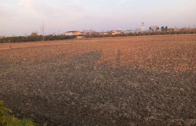 فروش زمین شالیزاری 7000متری در جاده جویبار