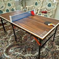 میز پینگ پنگ کوچک مسافرتی چمدانی باغ ویلا خانه