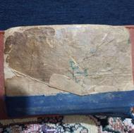 سلام یک قران حدود قدیمی