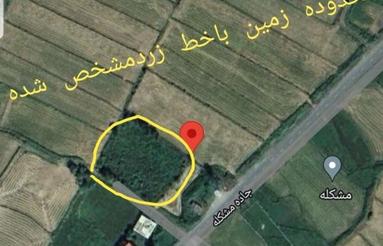 زمین ایده‌آل شما در قلب طبیعت بکر گیلان-شهرستان املش